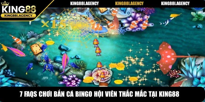 7 FAQs chơi bắn cá Bingo hội viên thắc mắc tại King88