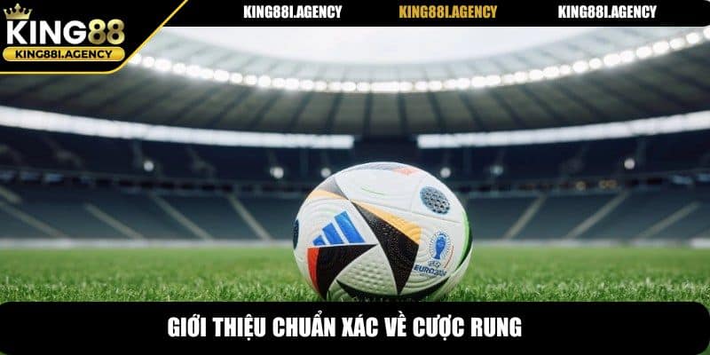 Giới thiệu chuẩn xác về cược rung