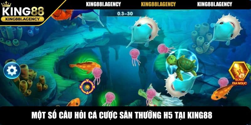 Một số câu hỏi cá cược săn thưởng H5 tại King88